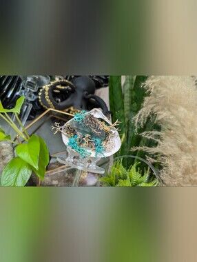 Larimer Quartz Crystal in Moss Seashell (Stand Included)